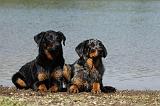 BEAUCERON 639